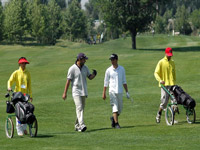 Golfing Golfing
