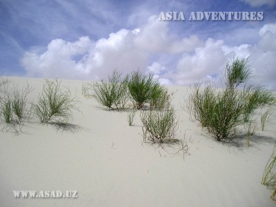 Белые пески Аральского моря