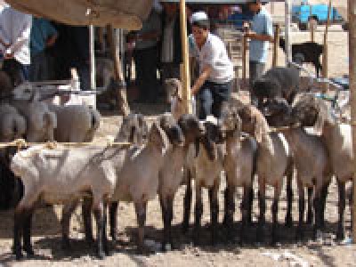 Воскресный базар в Кашгаре