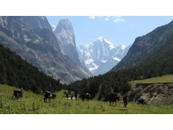 Nature of Tajikistan