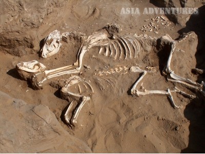 Excavations, Margush, Turkmenistan